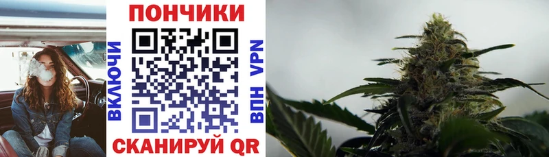 Бошки Шишки планчик Купить Ангарск